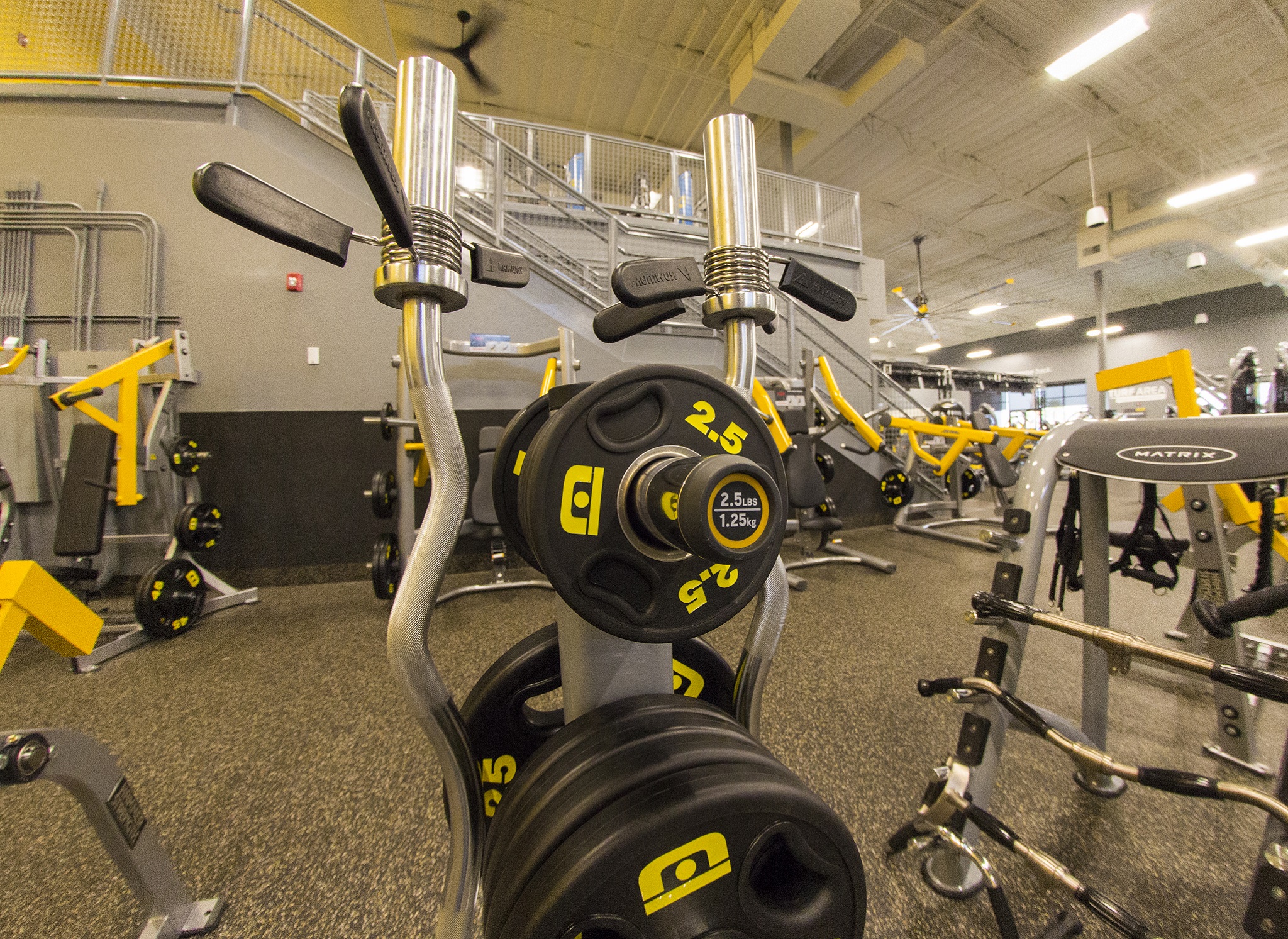 Calisthenics vs Weights: What’s the Difference?