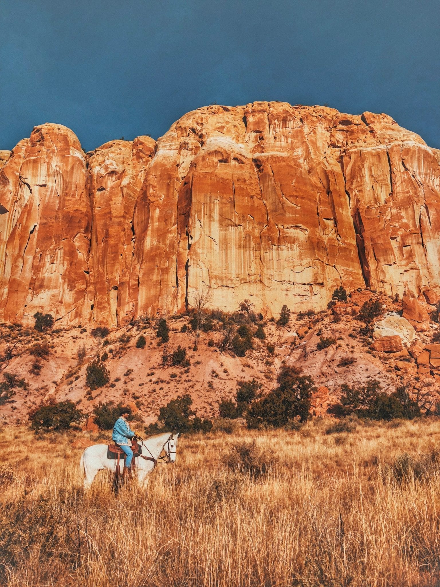 Chuze Fitness Is Coming To Albuquerque, New Mexico!